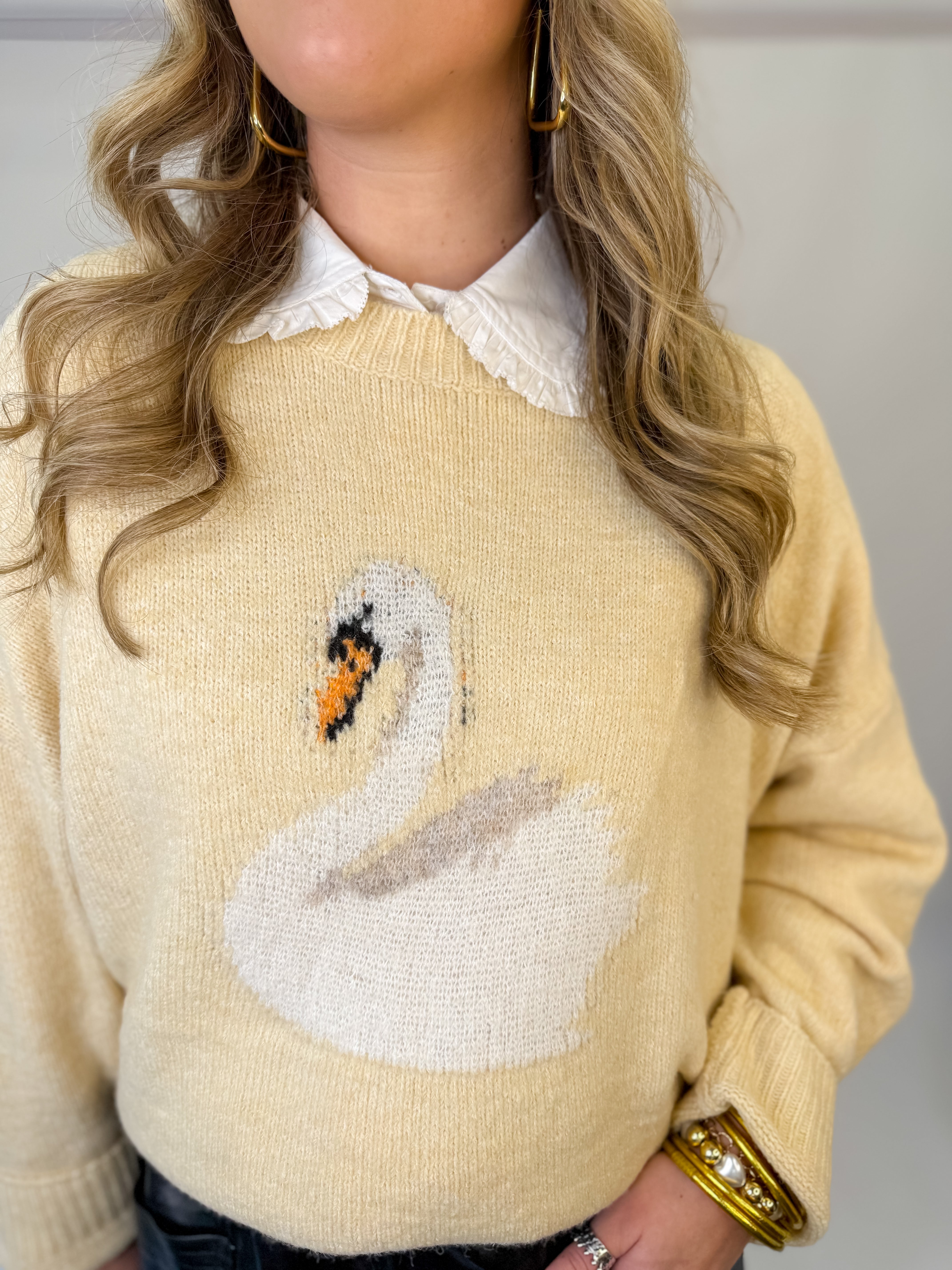 Swan Lake Cozy Sweater