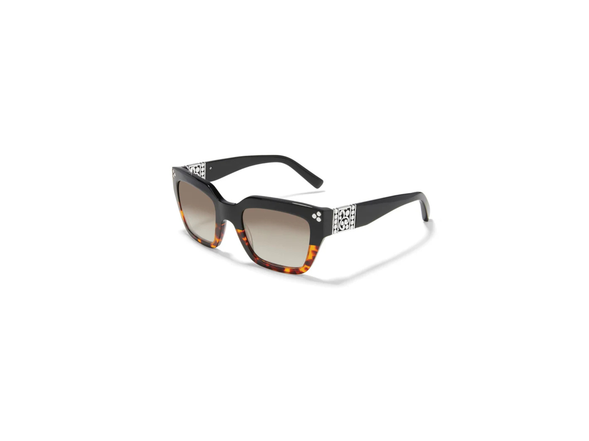 [Brighton] Contempo Dot Dual Sunglass