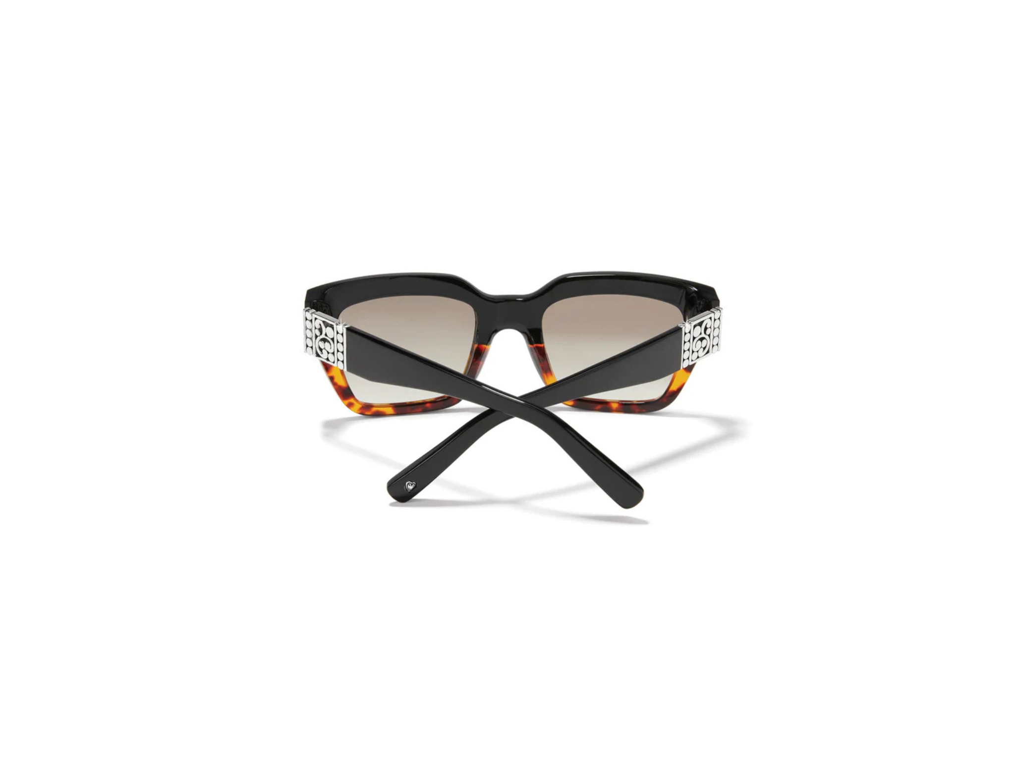[Brighton] Contempo Dot Dual Sunglass