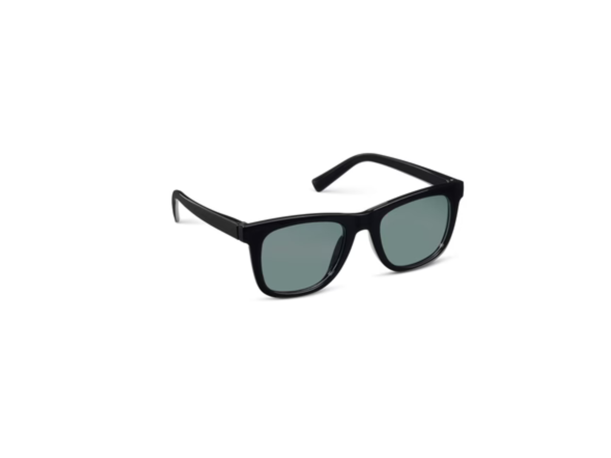 Harbor Bifocal Sunglasses- Black