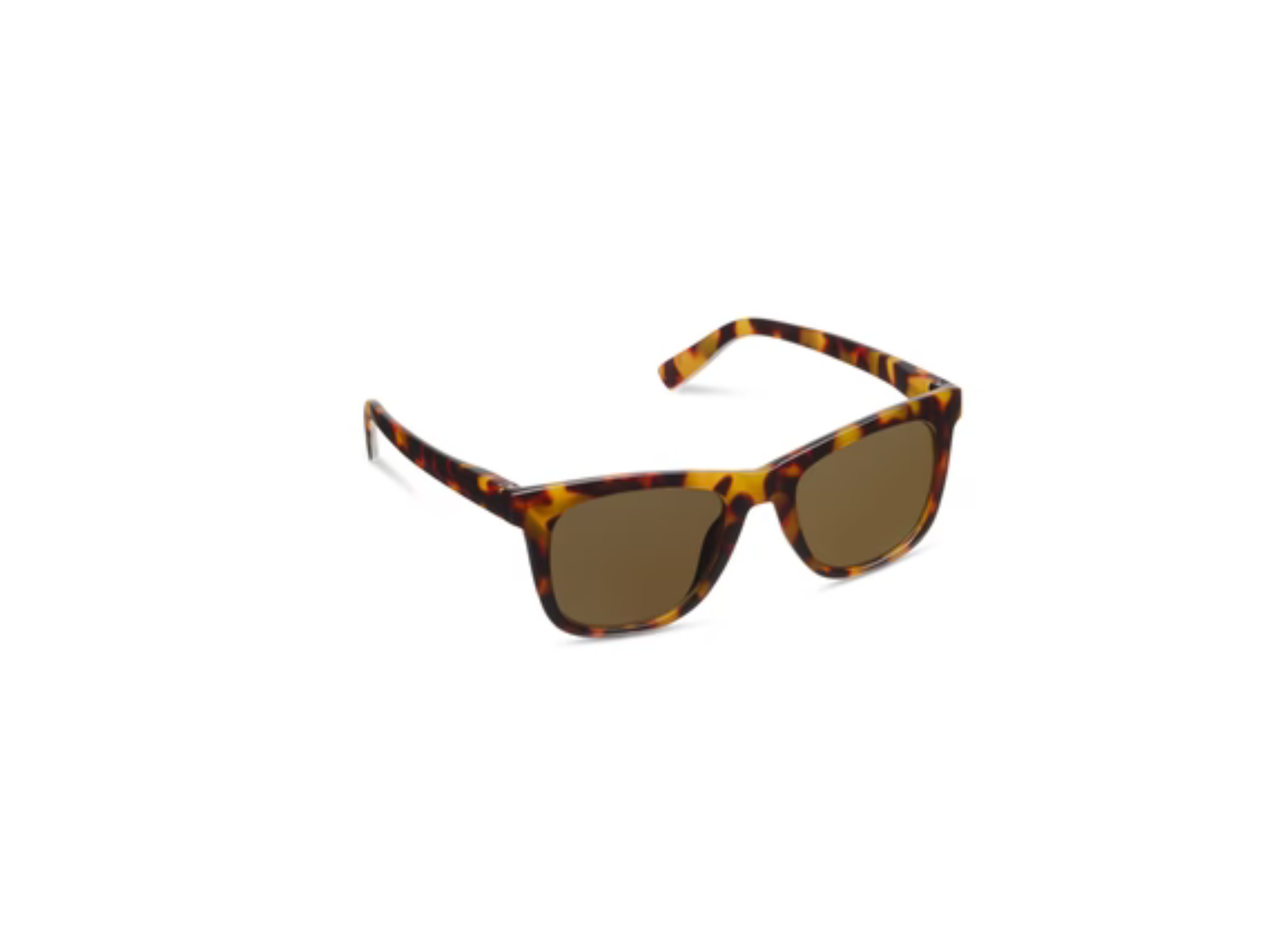 Harbor Bifocal Sunglasses-Tortoise