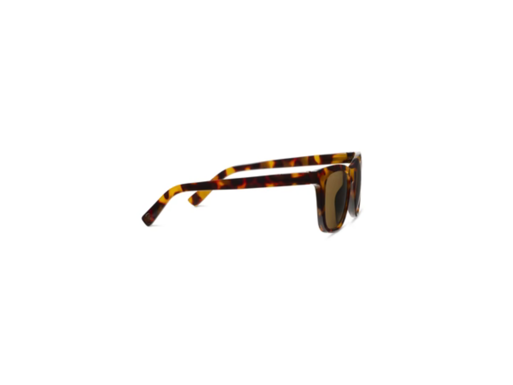 Harbor Bifocal Sunglasses-Tortoise