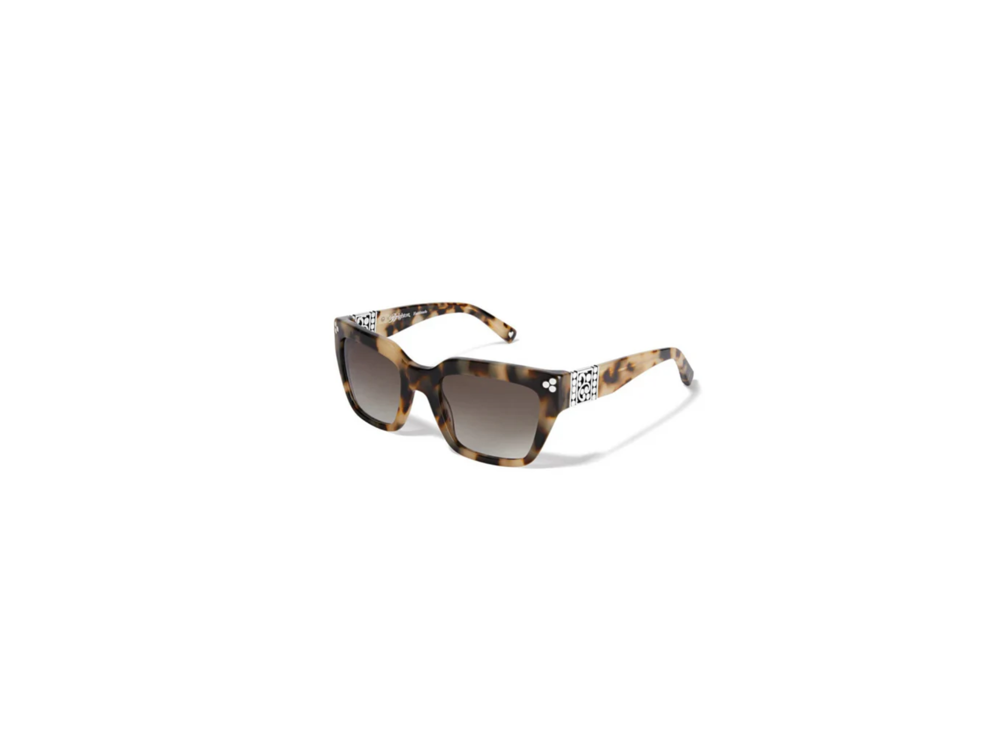 [Brighton] Contempo Dot Dual Sunglass