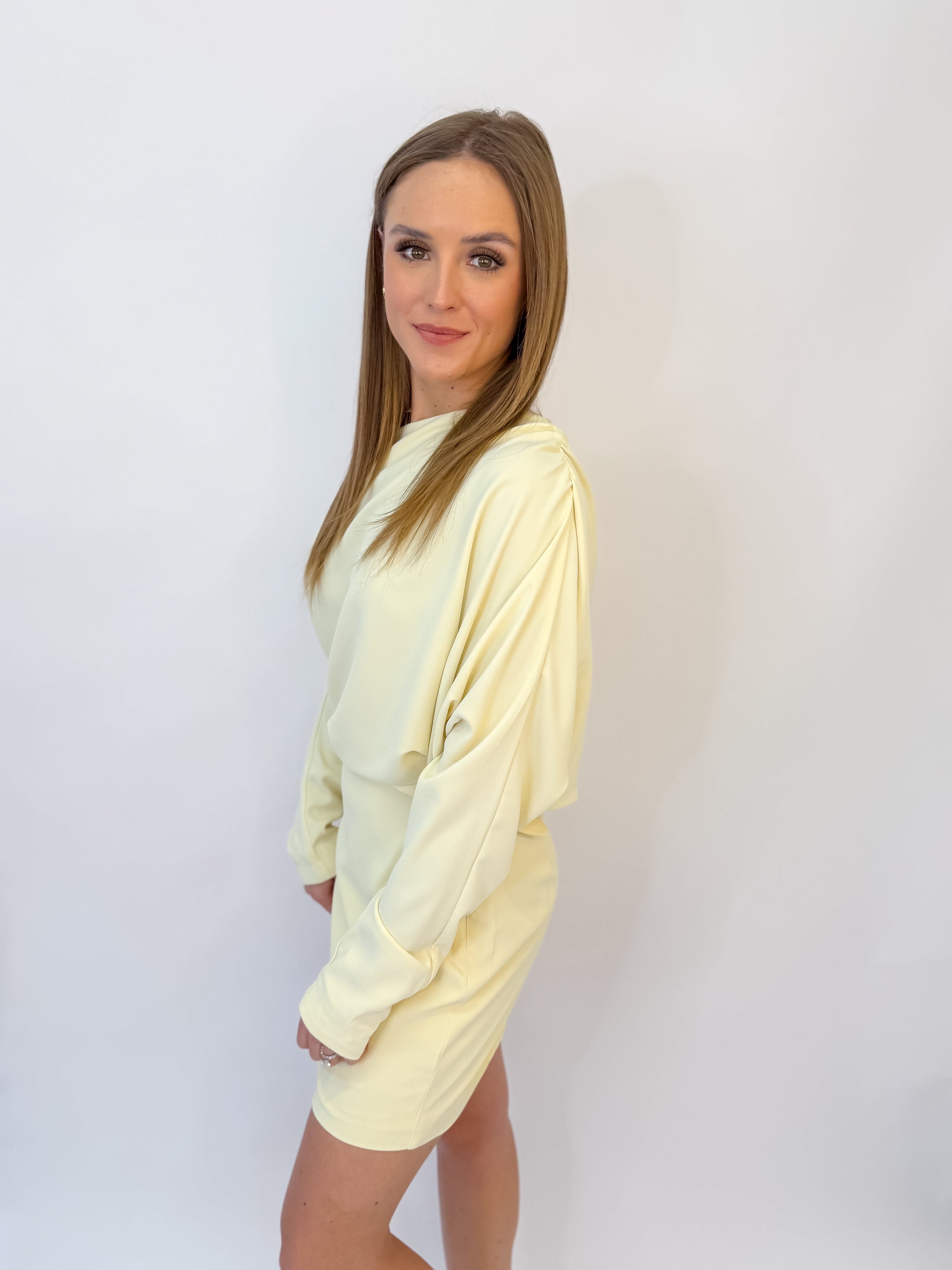 Aria Long Sleeve Mini Dress