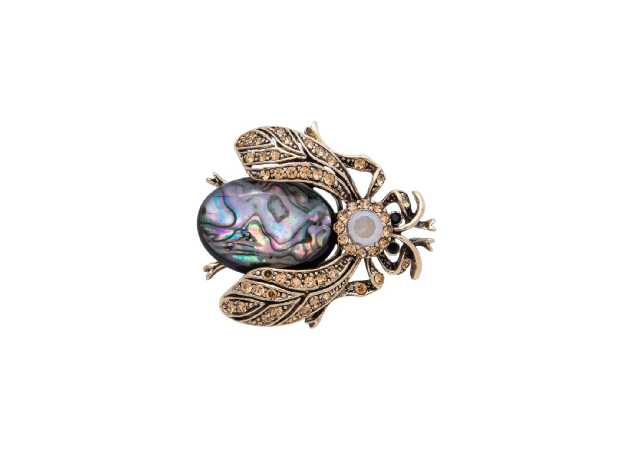 Iridescent Beetle Stone Brooch Pin