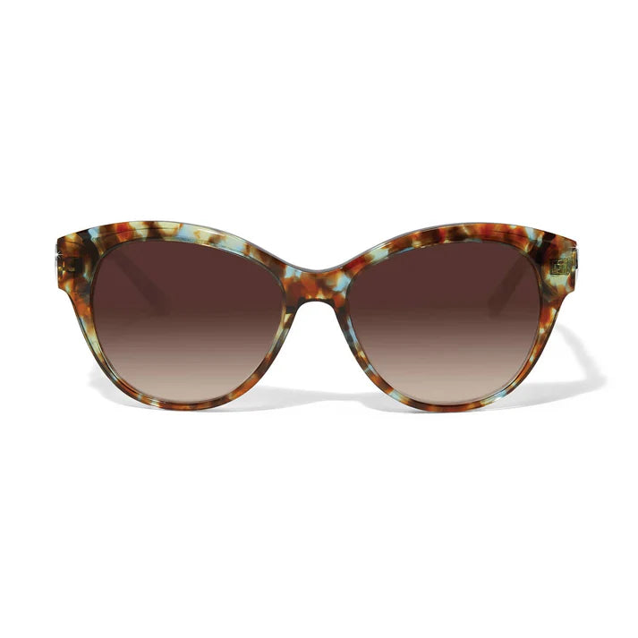 [Brighton] Interlok Braid Blue Havana Sunglasses
