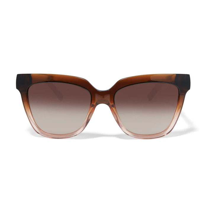 [Brighton] Interlok Infinity Sunglasses