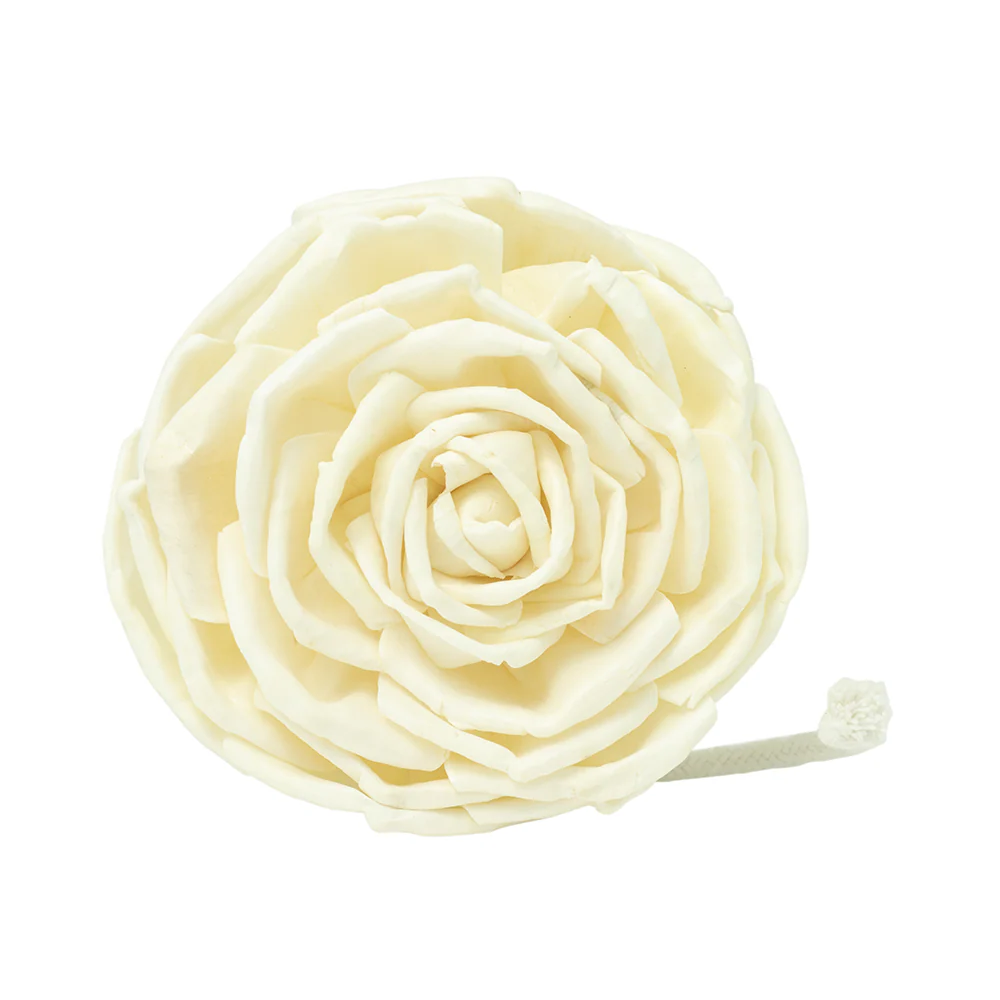 Floret Diffuser Large Rose Sola Flower Replacement