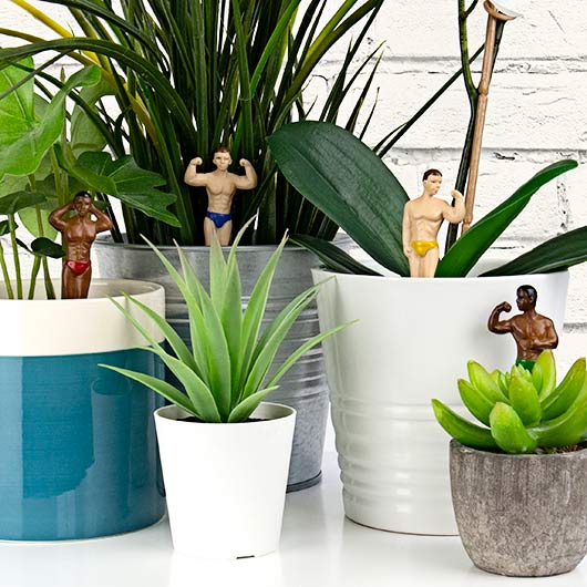 Mini Plant Pot Figurines